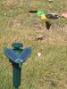 Solar Rotating Bird Toy Flying Hummingbird Power Vibration Birds Stake Flying Fluttering Toy For Garden Decoration