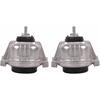 TOPAZ 22116768852 22116768853 Engine Motor Mounts Front Left + Right Replacement for B-MW X1 2013-2015 BMW Z4 2012-2016 Set of 2