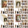Christmas Cat Acrylic Advent Calendar With 24 Decor Slots For Holiday Celebrations