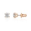 [Swarovski] 5638801 Women's Earrings