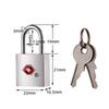 tsa silver lock