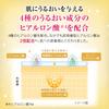 Hada Labo Kon Gokujyun All-in-One Perfect Gel 100g x 2 Set + Gokujyun Sachet