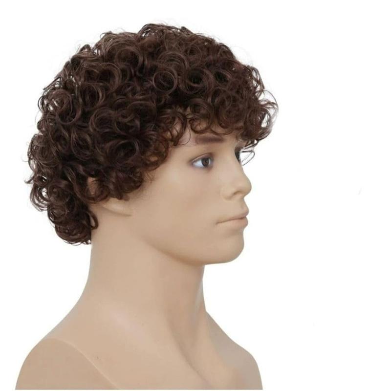Synthetic Short Afro Curly Wigs Hair Wig for Men Mixed Wigs High Temperature Natural Daily Party Regular Wig Curl