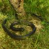80CM Golf Snake Prank Leketøy Realistisk gummi Slange Modell Simulert Slange Erting Venner Vanskelige rekvisitter Barn Voksne Halloween Party Gag Gave