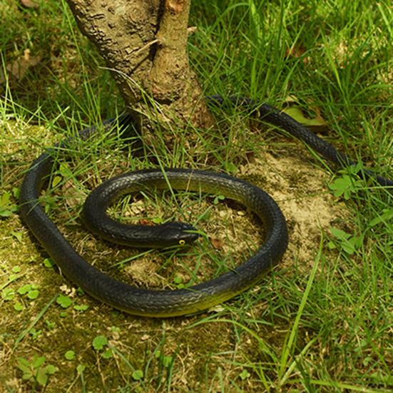 80CM Golf Snake Prank Leketøy Realistisk gummi Slange Modell Simulert Slange Erting Venner Vanskelige rekvisitter Barn Voksne Halloween Party Gag Gave