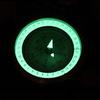 Professional Military Metal Sighting Compass