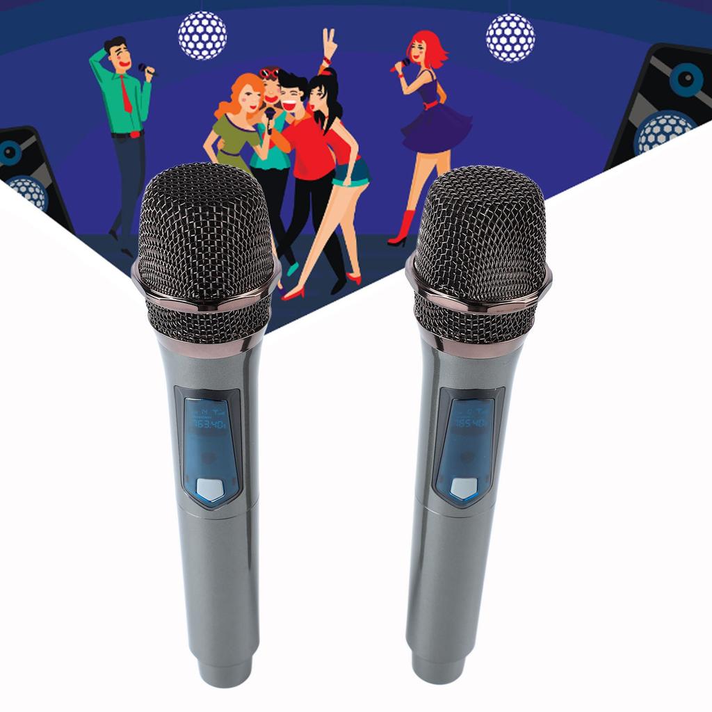 Wireless Handheld Microphone System 1 for 2 UHF Dynamic Cordless Mic for Outdoor Home
