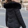 Fashion Winter Woman Parkas Hooded Faux Fur Collar Short Coats Thick Warm Women's Jackets