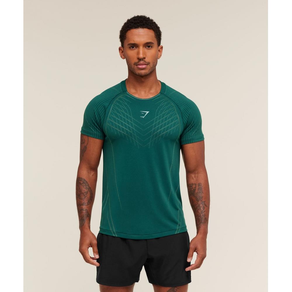 Gymshark Apex Seamless T shirT weighTed Teal muTed Teal A2b3s Tbw7