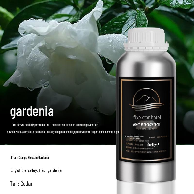 Diffusore di Aromaterapia ad Alta Capacità per Oli Essenziali: Deodorante Concentrato per Hotel di Lusso
