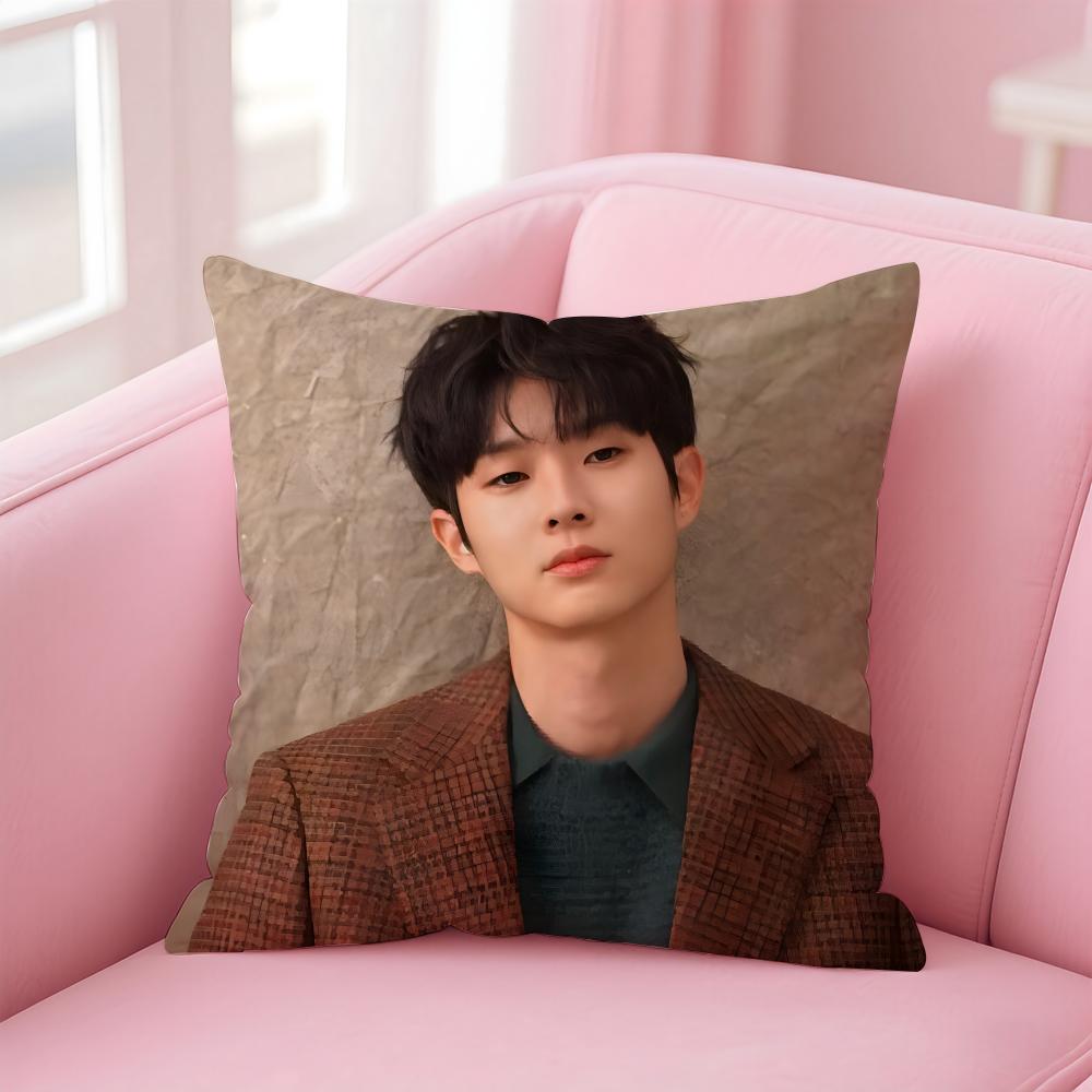 Talented Korean Actor CChoi Wooshik Cushion Cover Pillowcase Short Plush Invisible Zipper Room Sofa Cushion Cover