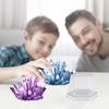 Display Cases Crystal Growing Kit Grow a Crystal Vibrant Colored Crystals DIY Educational Science Toys Mold Shapes