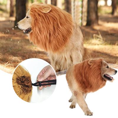 Dog Wig, Pet Wig, Pet Wig, Lion- Pullover, Dog Pullover, Dog Pullover, Lion- Pullover