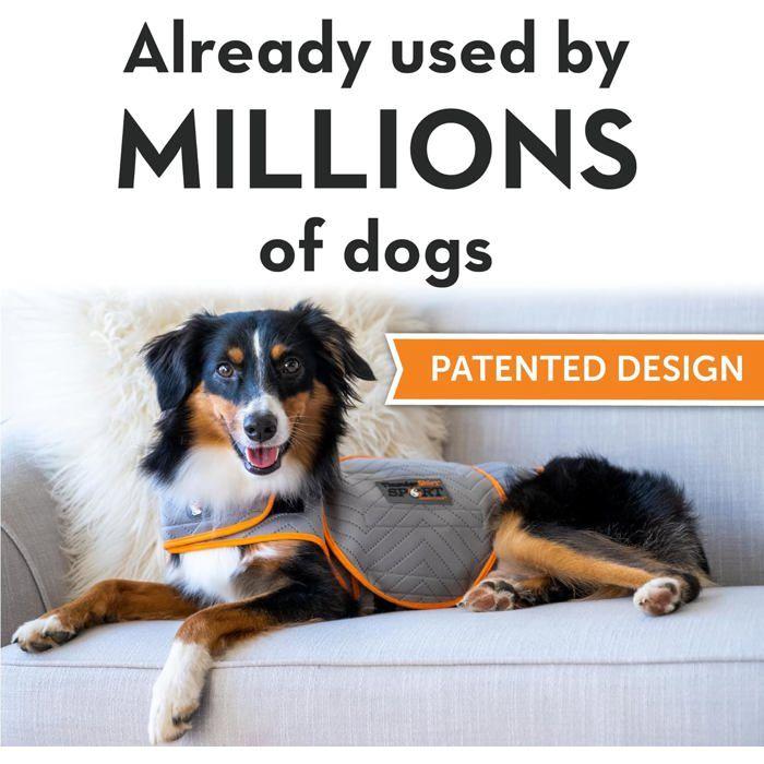 Veste anti-anxiété pour chien - THUNDERSHIRT - Platine S - Tissu respirant - Pression brevetée - Lavable