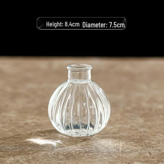 Small French Retro Glass Vase for Flowers and Hydroponics