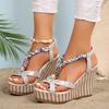 SyfIyno Summer One Piece Buckle Sandals for Women Thick Bottom Slope Heel with Fish Mouth Roman High Heel Sandals Eleven Styles