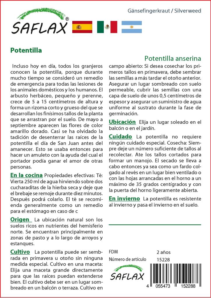 SAFLAX Garden In the Bag - Silverweed - 20 Seeds - With Substrate In a Fitting Stand Up Bag - Potentilla Anserina