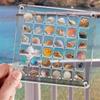 Mini durchsichtige Muschelsammlung Box - Hohe Transparenz, Stark magnetischer Acryl-Koffer