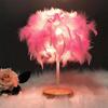 LED Warme Kleine Tisch Lampe Nordic Romantische Kreative Feder Hochzeit Zimmer Rot Mädchen Schlafzimmer Nacht Taschenlampe Nacht Lesen Licht