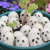 Halloween Ghostly Figurines Centerpieces Scary Resins Ghostly Statue Garden Decors Halloween Decors for Porch Lawn