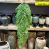 Artificial Spider Plant & Fern Hanging Decor - Trailing Green Vines for Wall & Ceiling