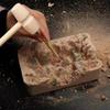 Mini Wooden Mallet Knocking Cake Wooden Hammer Children's Toy Hammer