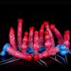 Dragon Flame Inflatable Silicone Dildo with Water Spray and Dog Knot Design for Women