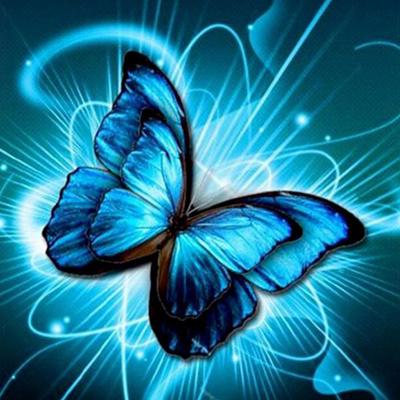 Butterfly Round Diamond Painting 5D DIY Embroidery Cross Stitch Craft Home Wall Decor