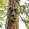 Old Man Whimsical Tree Face Statues Hugger Peeker Sculptures Easter Fairy Garden