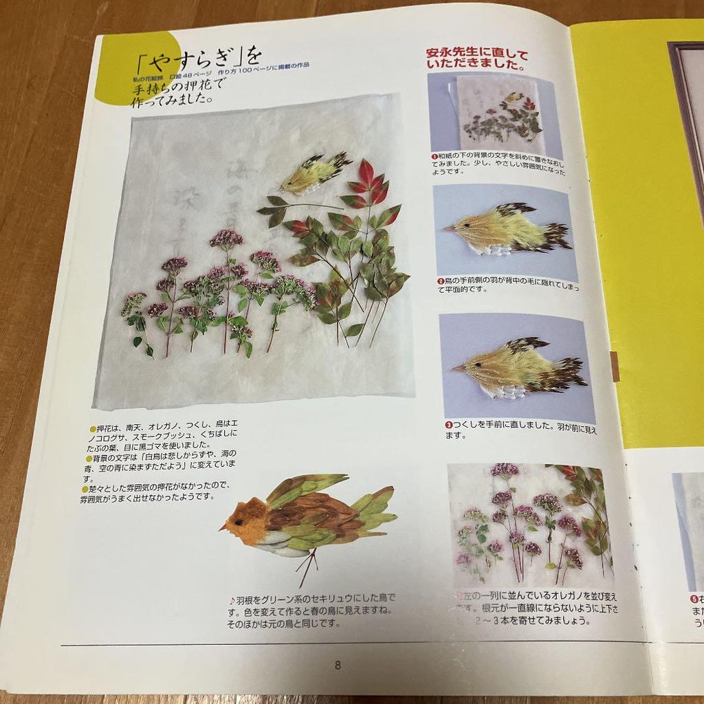 [USED] My Flower Painting Travel Technique Book for Yoshiko Yasunaga's Pressed Flower Works Collection