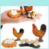 Static Poultry Animal Model With Incubation Process Display For Kids Educational Toy