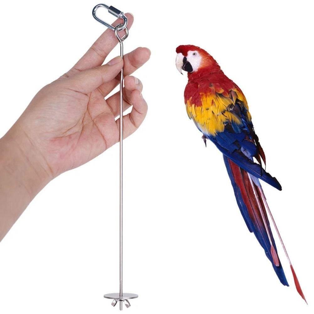 2Pcs Rust-proof Bird Cage Food Holder Stainless Steel Bird Foraging Toys Bird Feeder for Cage Birds