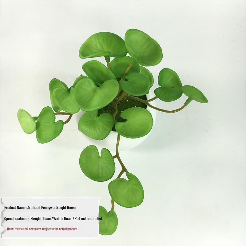 Huashe Red Air Succulent: Creative Faux Green Plant for Home Décor