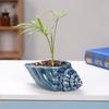Cute Small Conch Succulent Plant Pots Conch Creative Ceramic Mini Mini Pots Desktop Shell Succulent Ceramic Planter