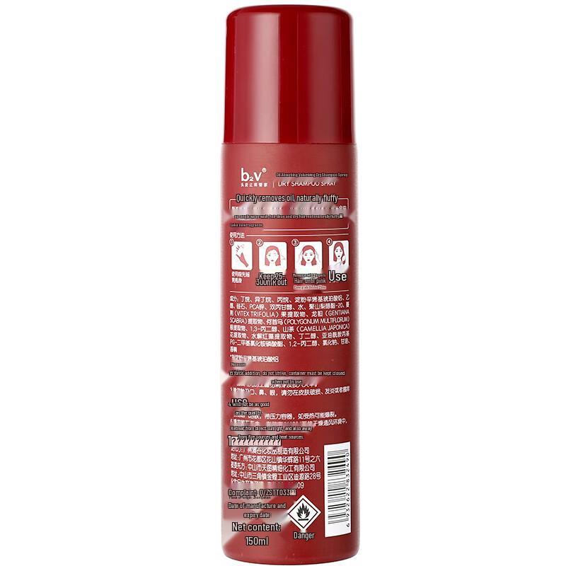 B2v Volumizing Oil Control Trockenshampoo