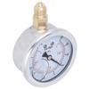 TS PGGZ604 2bar 1 4BSP Y60 Radial Pressure Gauge for Household Pressure Measurement