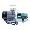 WCB-75 Self-Priming Gear Oil Pump Portable Cast Iron High Temperature Electric Gear Pump 750W Small High Viscosity Oil Pump 220V