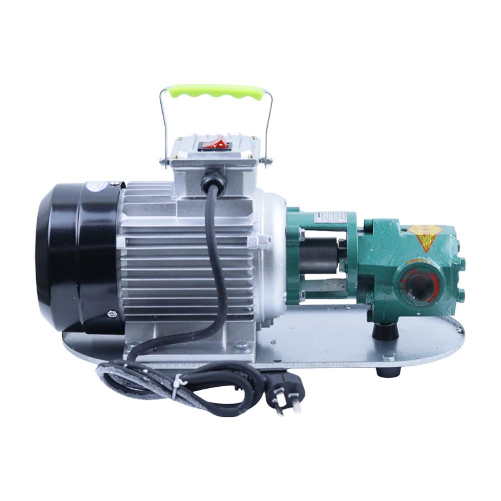 WCB-75 Self-Priming Gear Oil Pump Portable Cast Iron High Temperature Electric Gear Pump 750W Small High Viscosity Oil Pump 220V