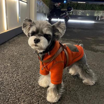 Evcil Hayvan Kazak Bichon Pomeranian Schnauzer Küçük Köpek Teddy Köpek Giysileri Sonbahar İki Bacaklı Kapşonlu Kazak