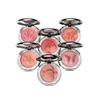Chantecaille Philanthropy Blusher Joy with Horse Women