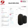 Zigbee 3.0  Door Window  Sensor Work With Yandex Alexa Zigbee2MQTT  ZHA HomeAssistant