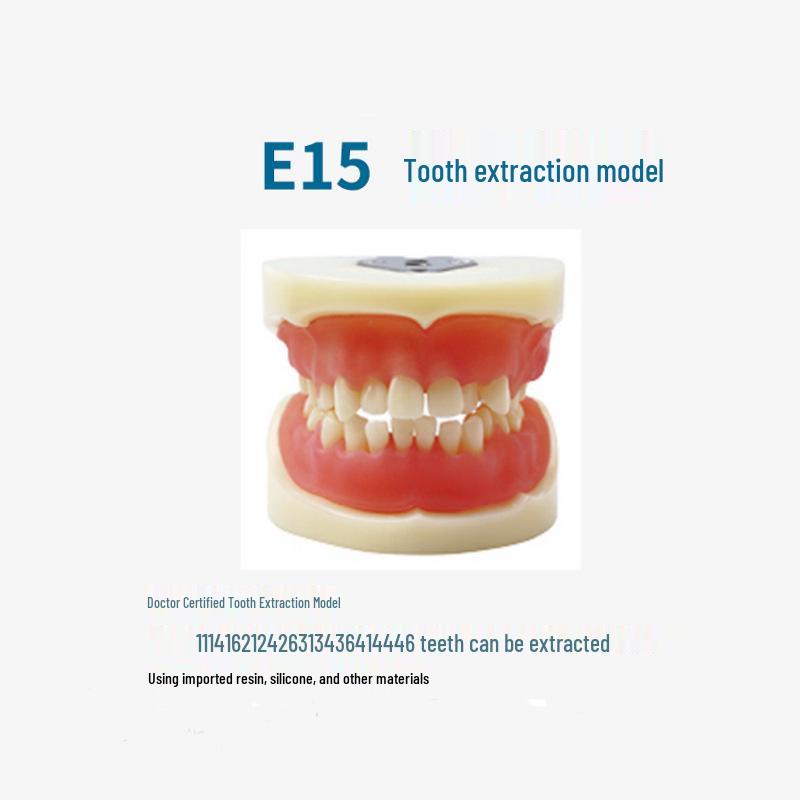 Children's Dental Teaching and Brushing Practice Model