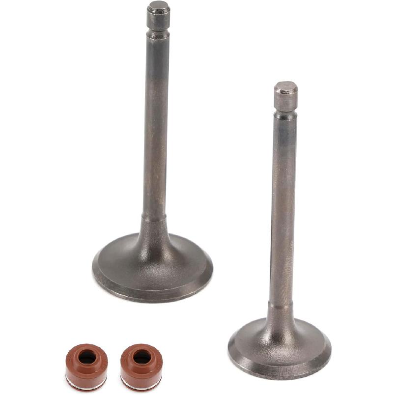 Intake & Exhaust Valve Kit for Yamaha TTR125 TTR125E TTR125L TTR125LE XT125 YBR125 YFA1 Breeze YFM125 Grizzly - Replaces 5VL-E2111-00 5HH-E2121-00 -
