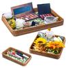 Pure Vie Rattan Tray, Small Item Storage Basket, Table Decorative Storage Display, Entryway Key Holder, Accessory Tray, Perfume Holder, Natural Horizo