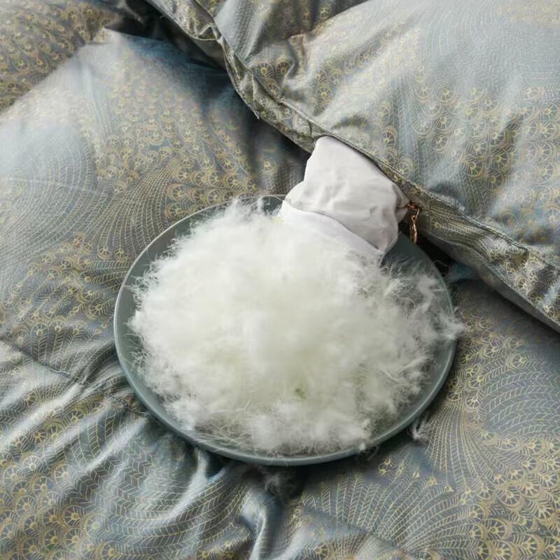 Yumeng Jiaju Polar Snow Luxury White Goose Down Comforter