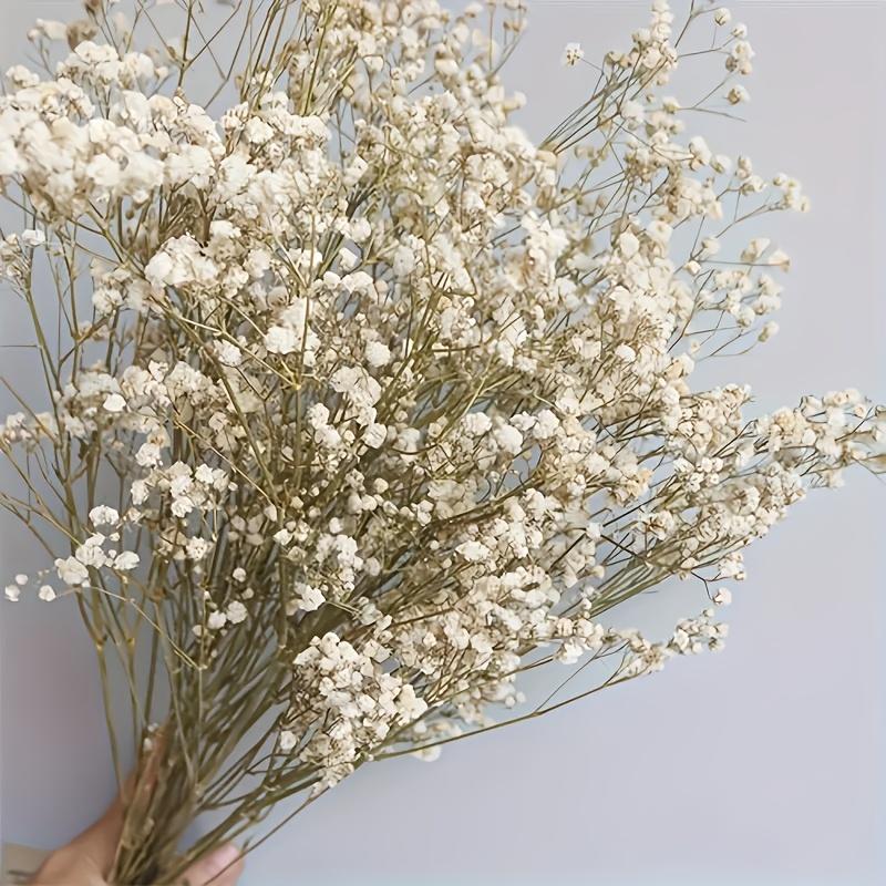 

Colorful 120g Artificial Gypsophila. Versatile rattan decor for Wedding, Christmas, Party & Home. Get yours! білий