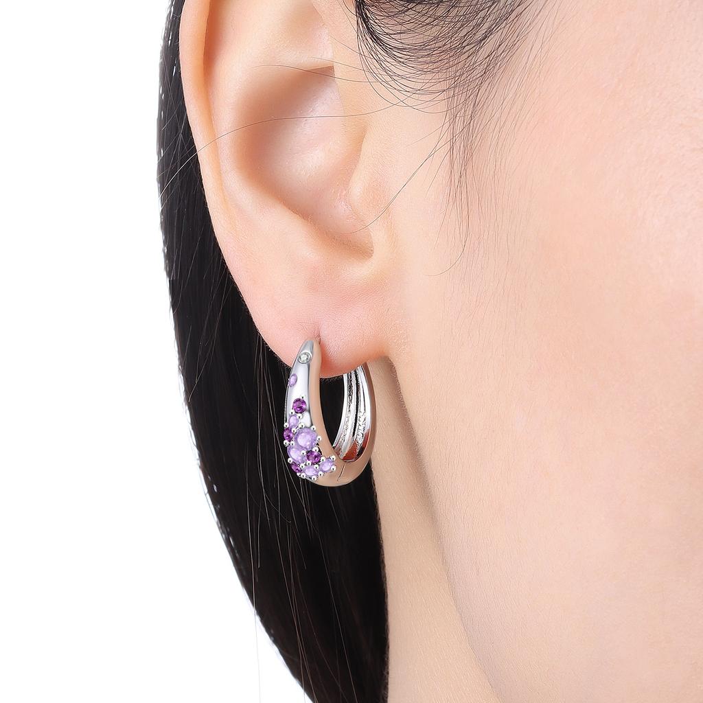 S925 Sterling Silver Purple Zircon Series Earrings Hoop Earrings For Women Jewelry Original Party Trendy Gifts