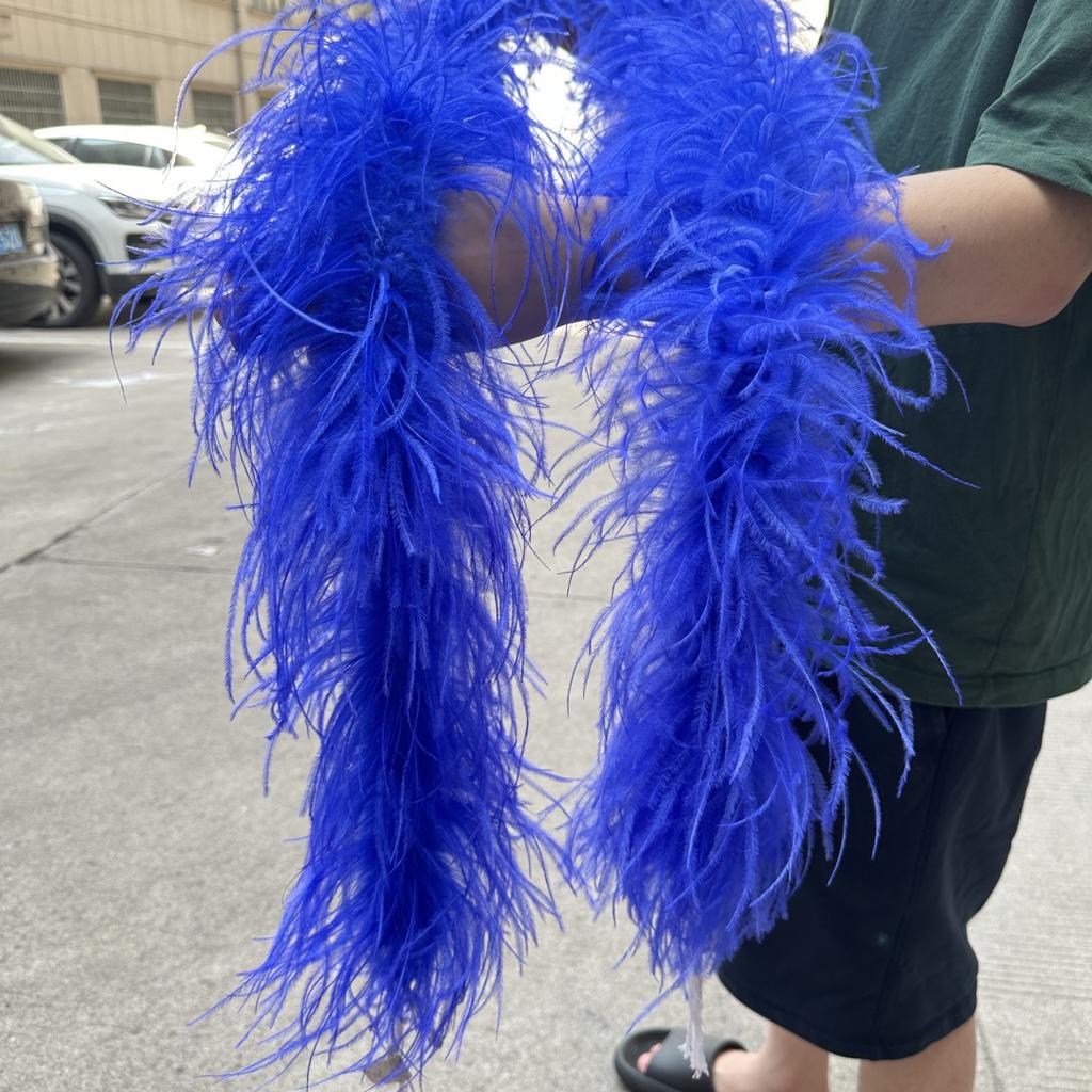 2M Red Ostrich Feathers Boa 1-10Ply Thick Natural Feather Shawl for Wedding Clothing Decoration Sewing Plumes Crafts Accessory