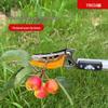 5-meter Telescopic Garden Shears for High-Altitude Pruning