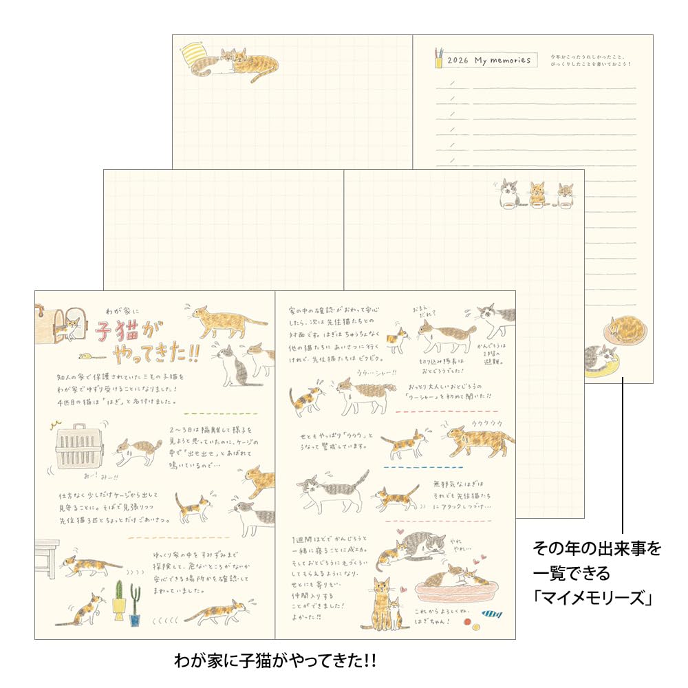 Midori Pocket Diary, 2026, B6, Weekly, Cat Pattern, 22373006 (Starts January 2026)